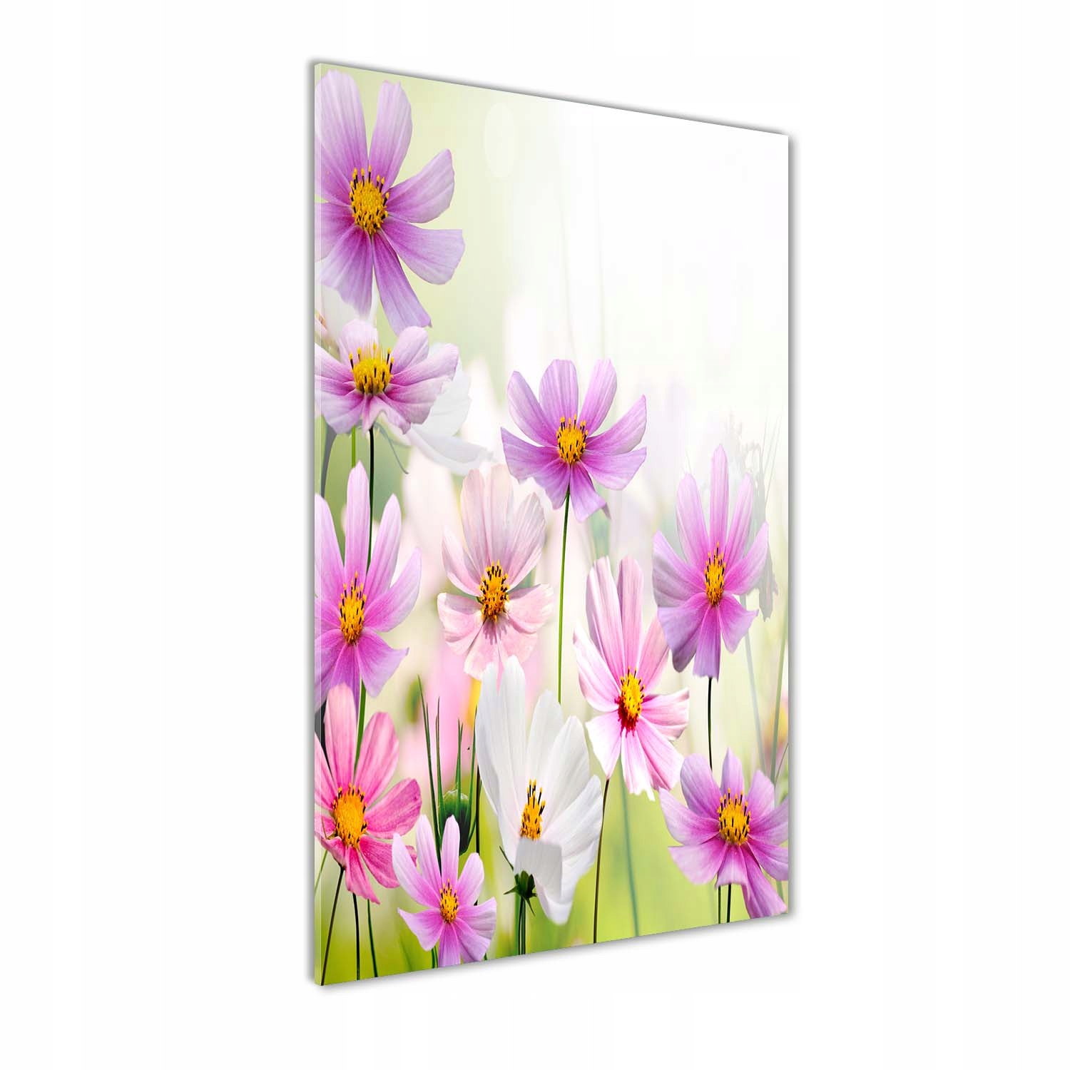 

Nowoczesny fotoobraz akrylowy Polne kwiaty 70x140