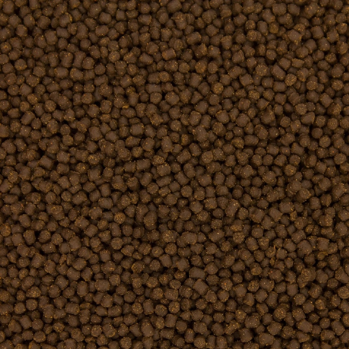 

Granulat pływający Premium karaś, koi 4,5mm 1kg