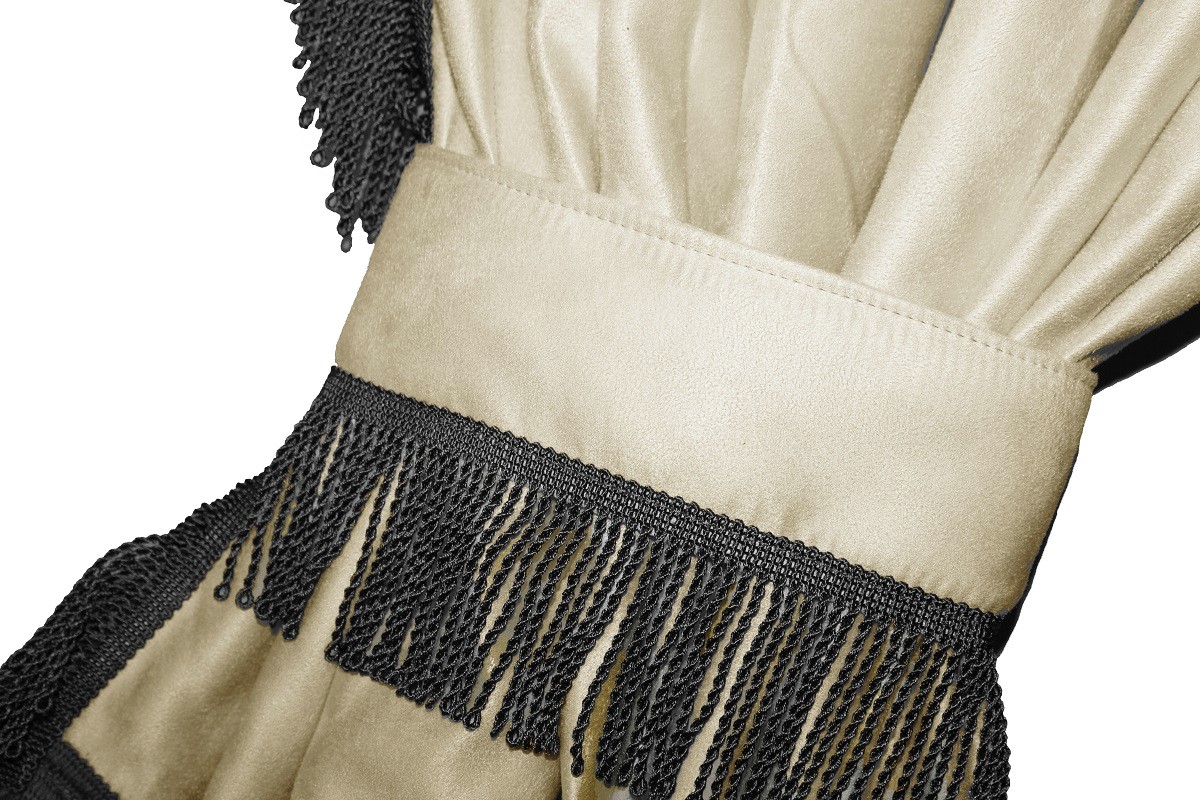 TIR CURTAINS MERCEDES ACTROS MP5 AND MP4 + HOOKS!