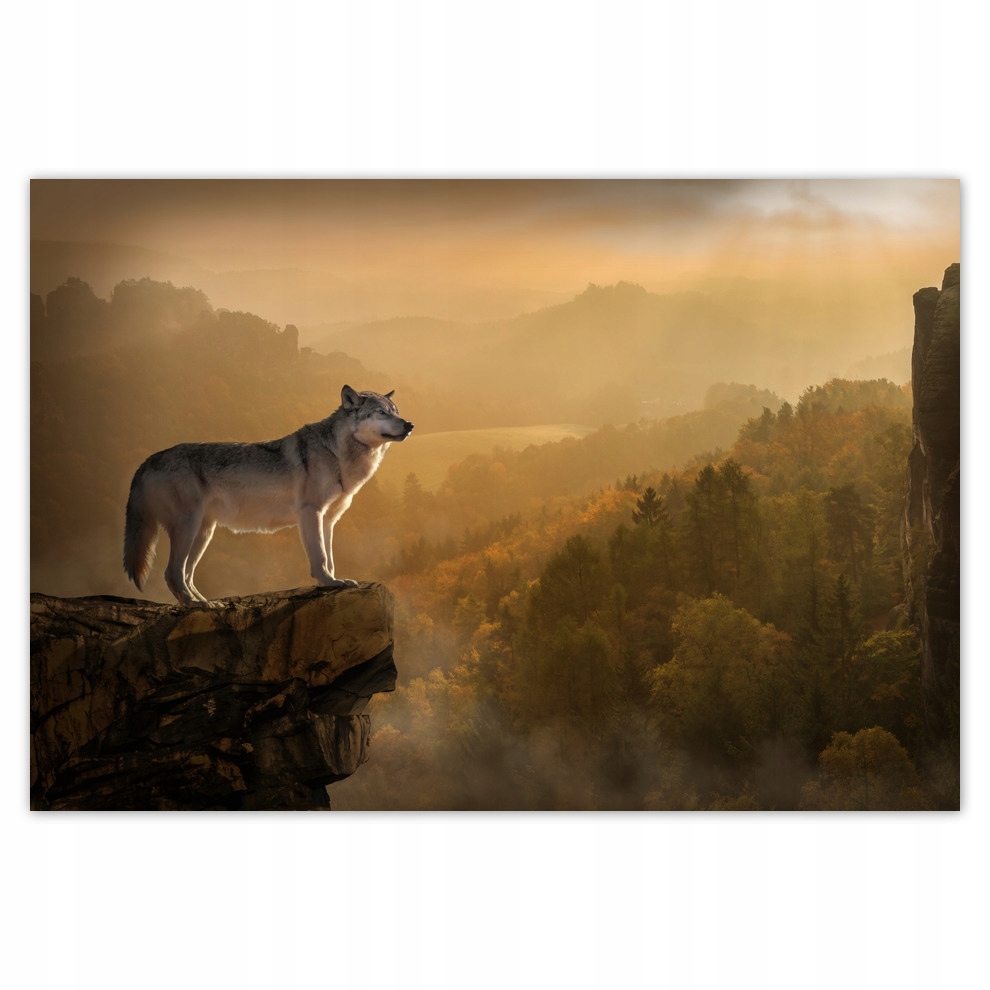 

Fototapety flizelina 152x104 Wilk na skarpie