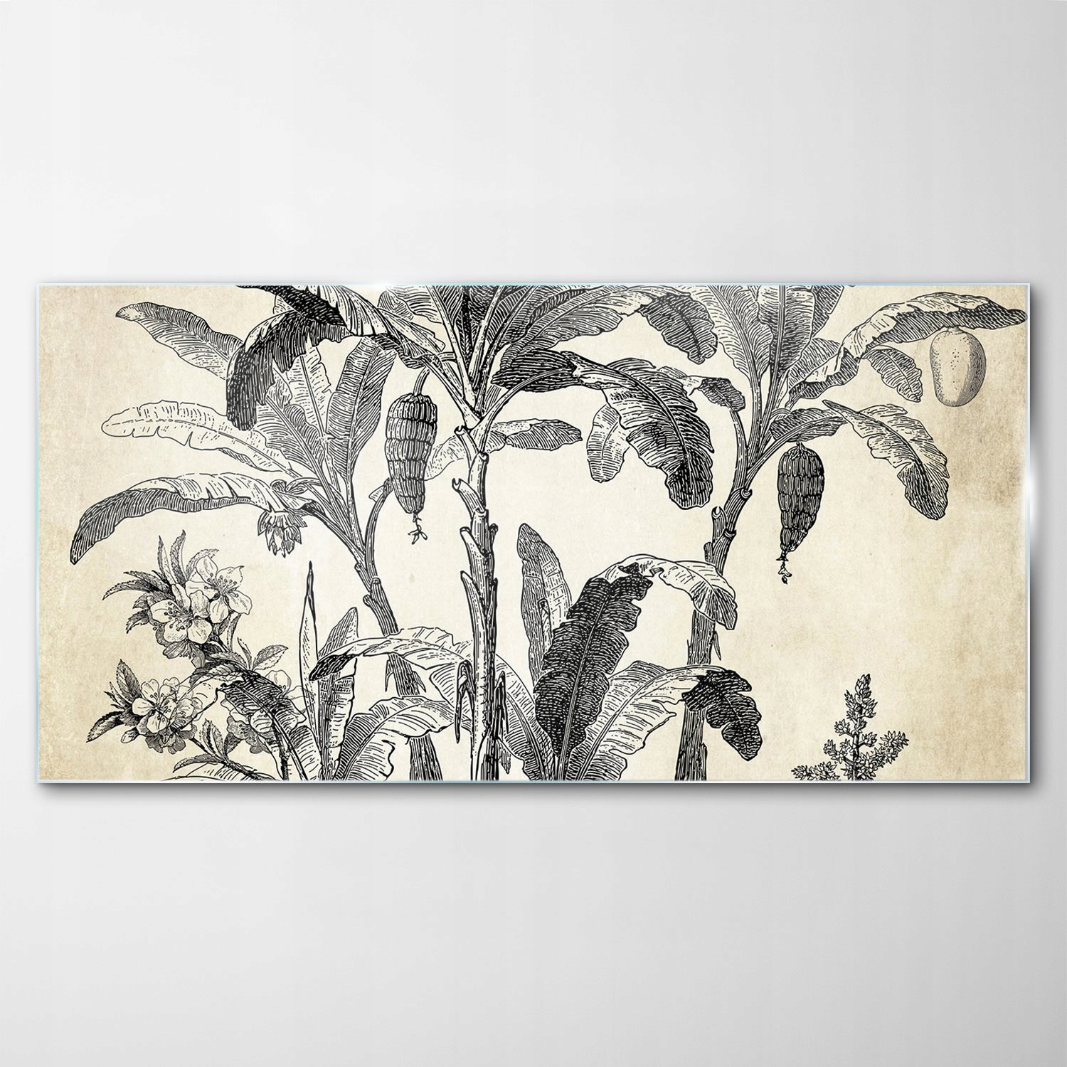 

Obraz Szklany Dekor Palma Natura Vintage 120x60