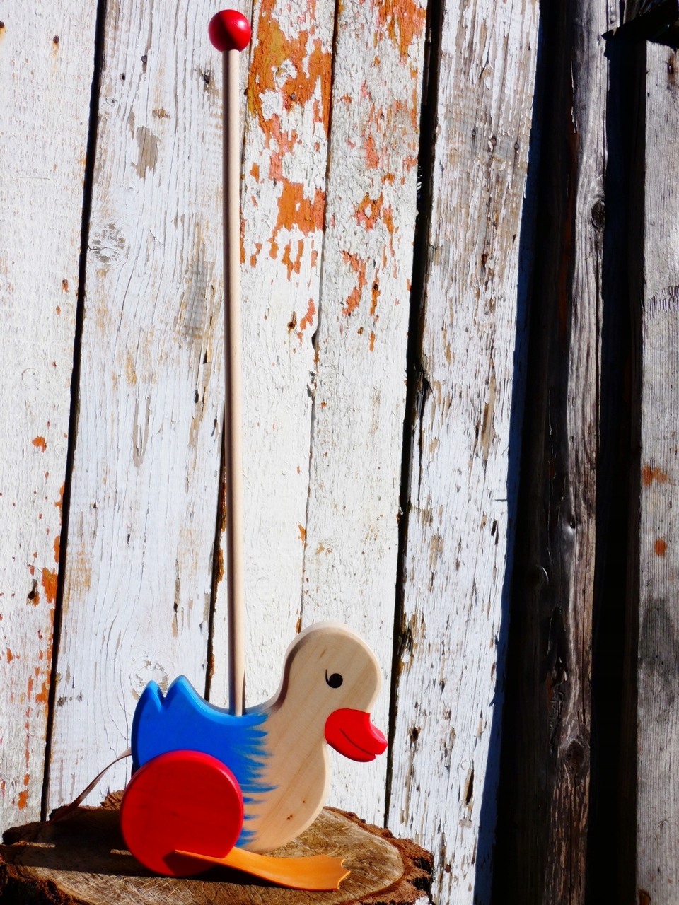 KACZKA do pchania niebieska drewniana pchanka pchacz eko zabawka Kod producenta 12309