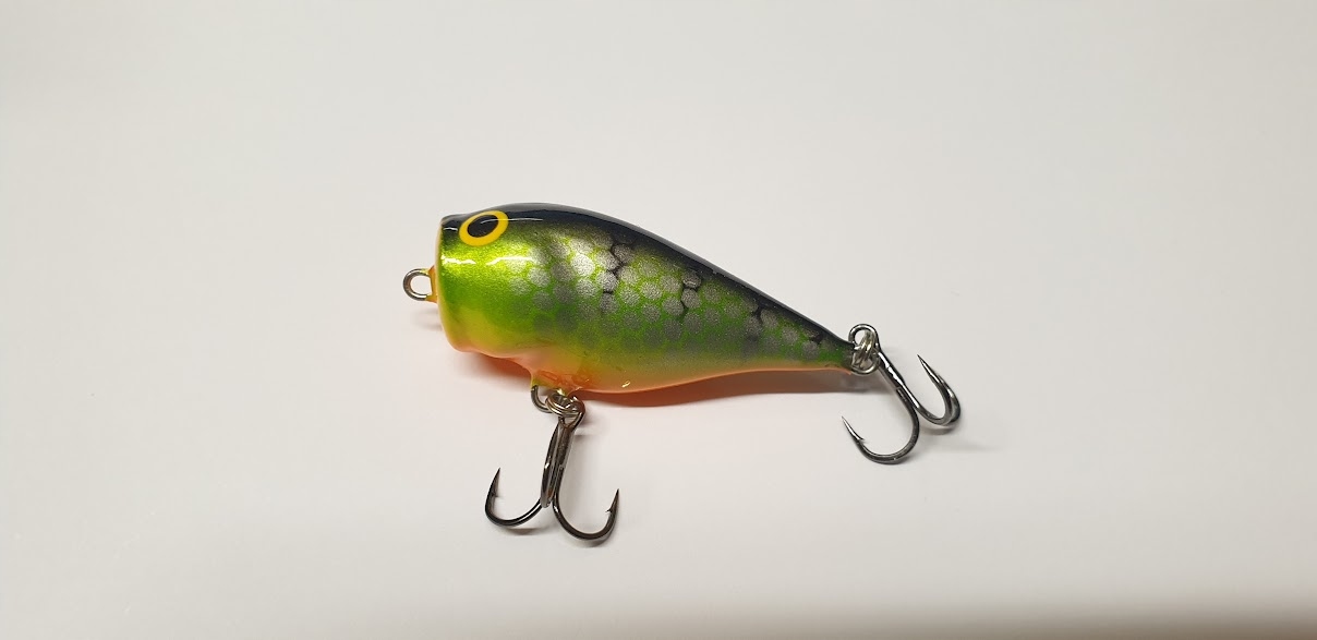 SPLASH POP 4 CM P