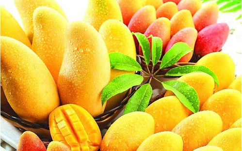 Olejek do Dyfuzorów ZAPACHOWY - CYTRUSY z MANGO Zapach cytrusowy owocowy