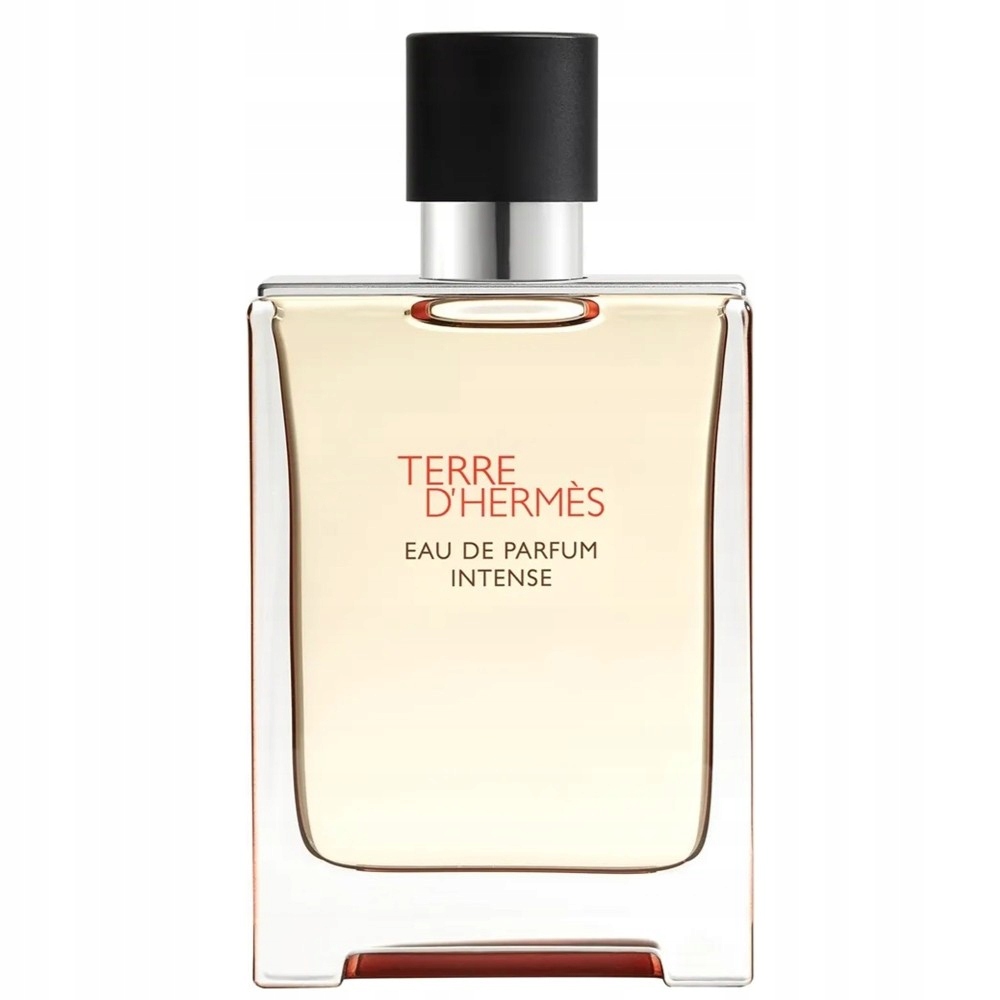 Hermes Terre d'Hermes Intense parfémovaná voda refillable sprej 100 ml