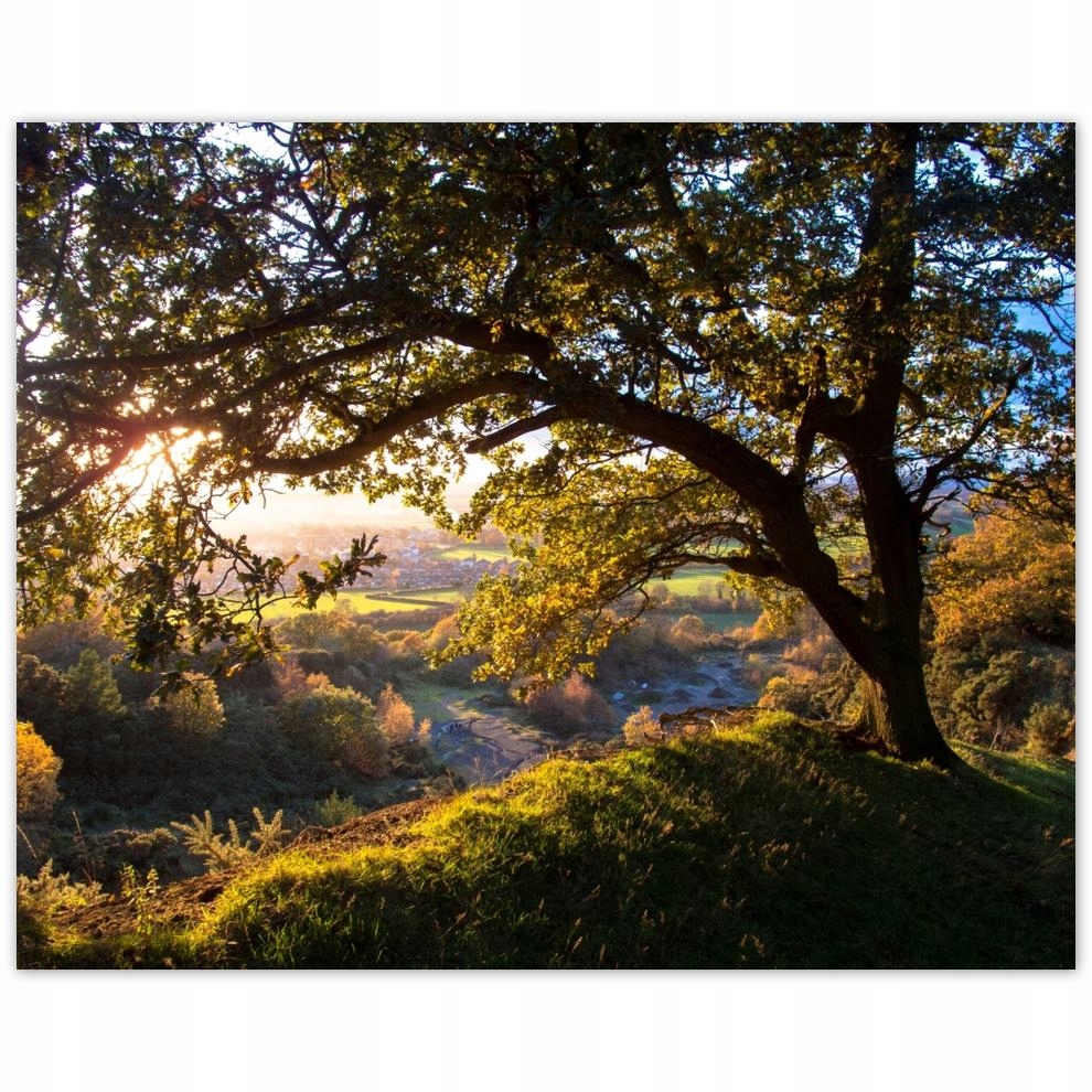 

Plakat 50x40 Widok na dolinę