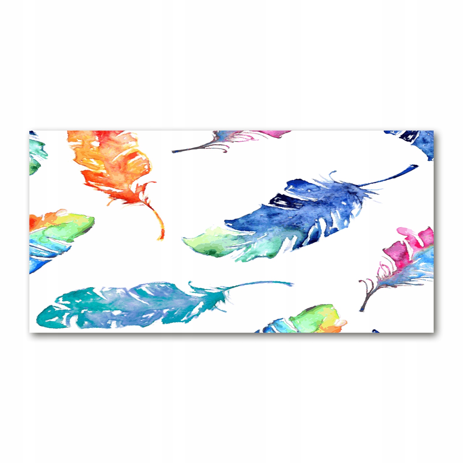 

Foto obraz akryl zdjęcie Kolorowe piórka 120X60 cm