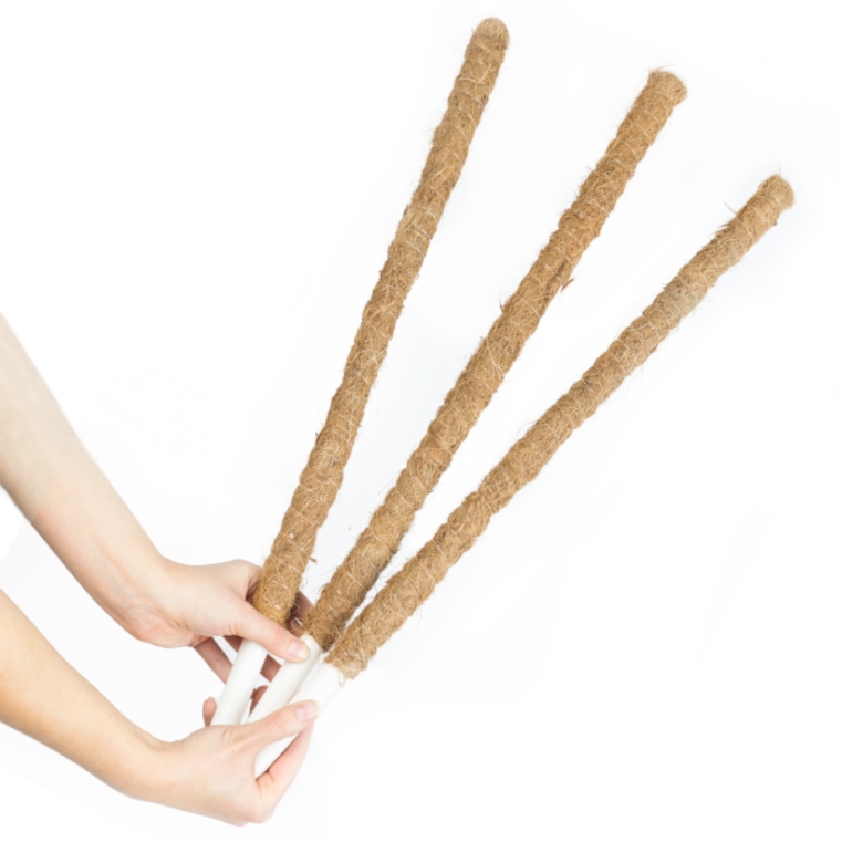 

Palik kokosowy 60 cm podpora do roślin 3 szt.