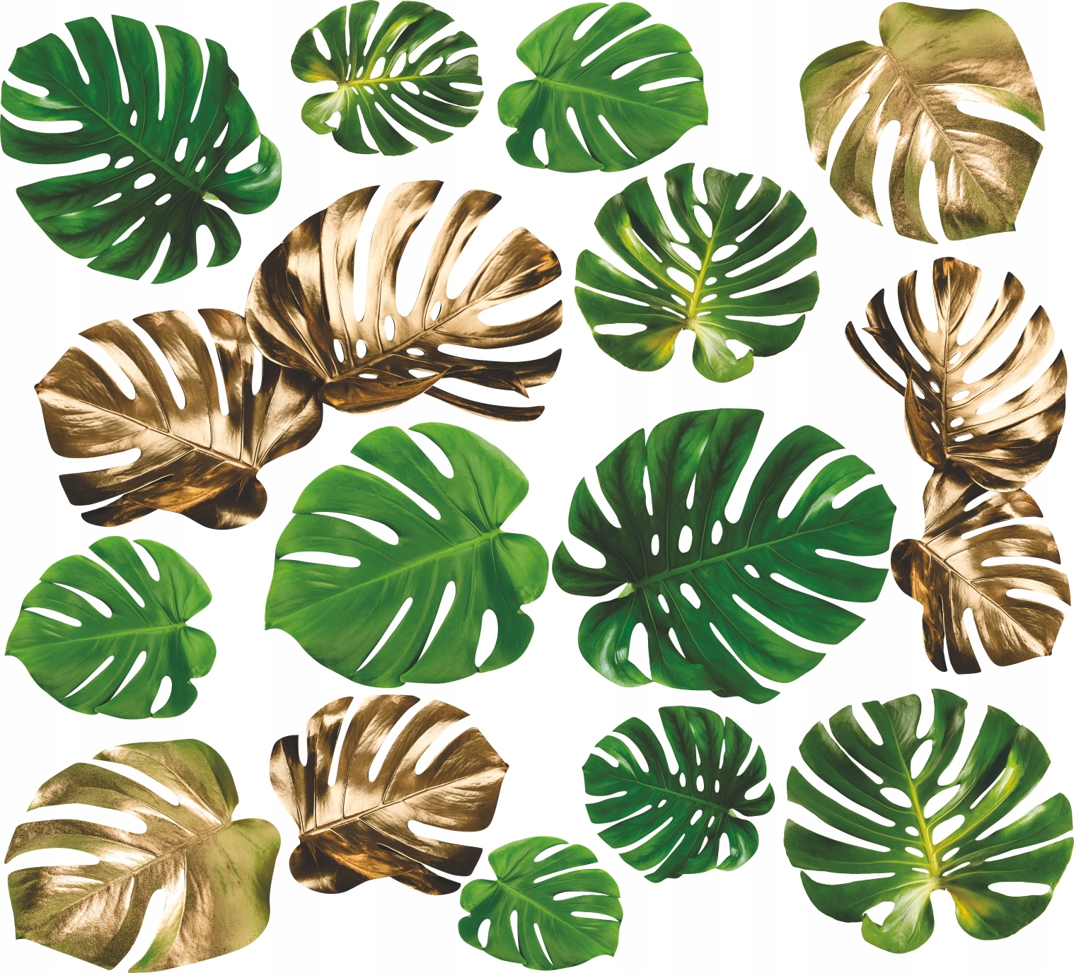Naklejki na ścianę liście Monstera 100x200cm MR3
