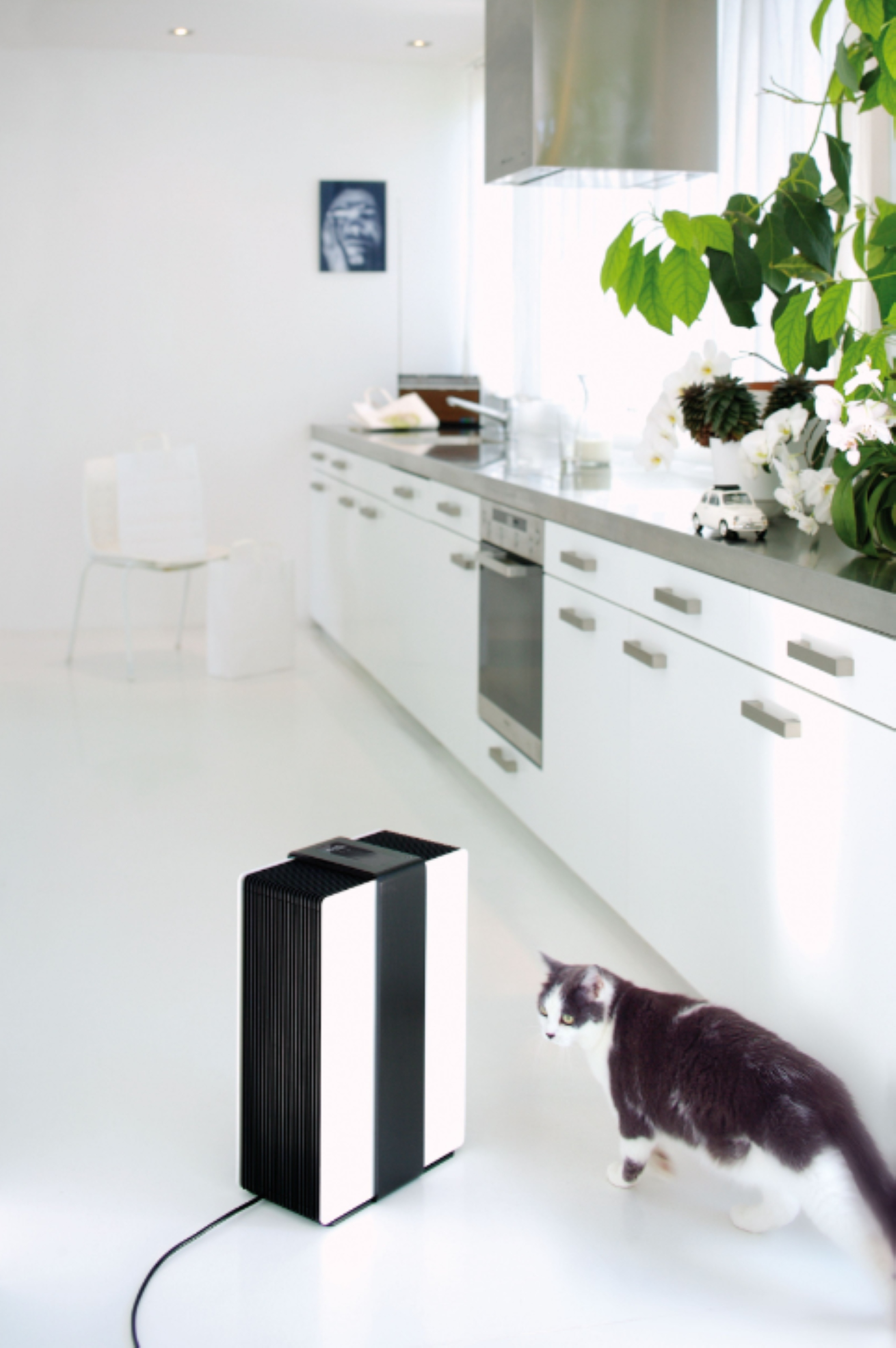 NAWILŻACZ Z FUNKCJĄ OCZYSZCZANIA POWIETRZA 2w1 ROBERT STADLER EWAPORACYJNY Szerokość produktu 32.1 cm