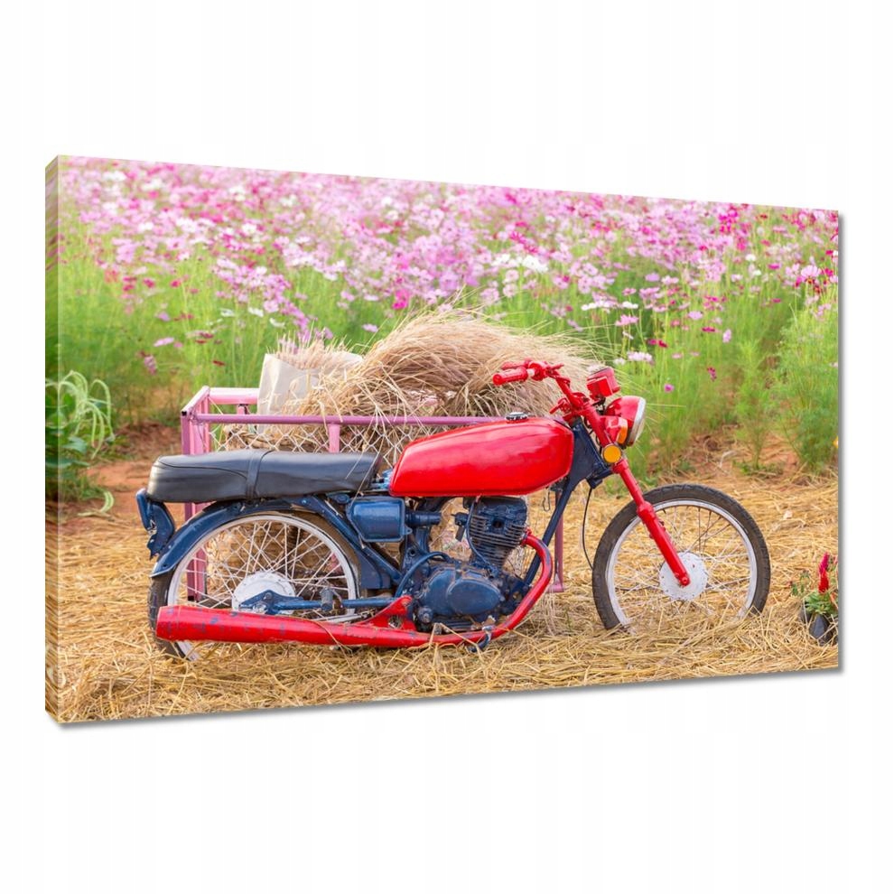 

Obrazy 60x40 Czerwony motocykl Kwiatki