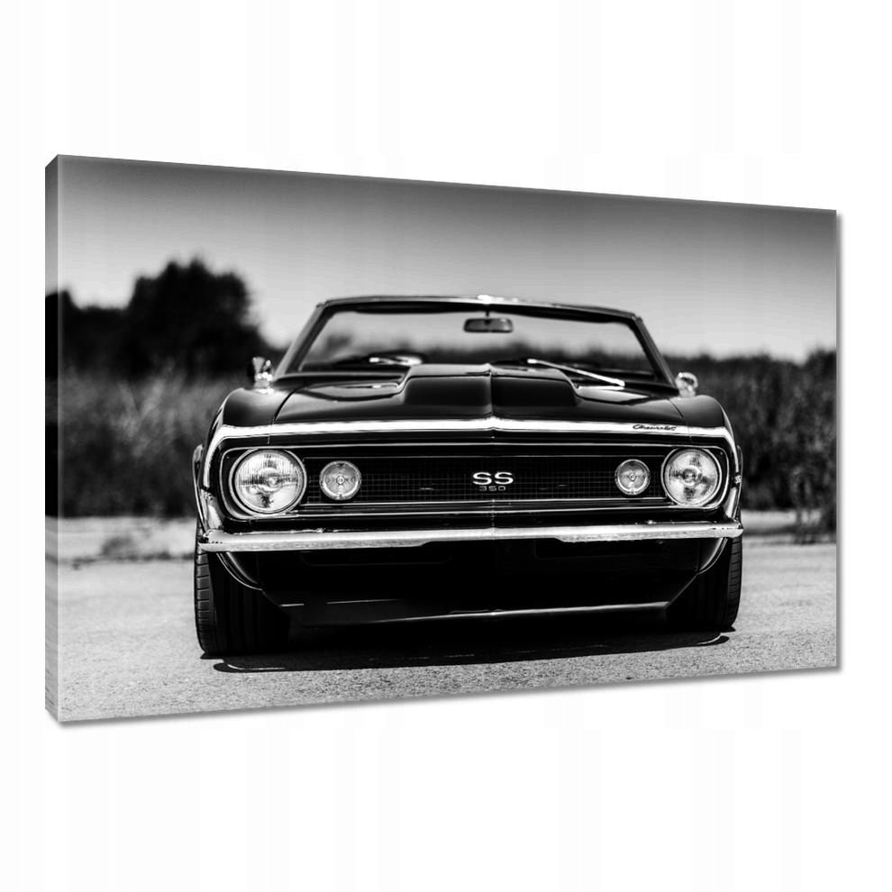 

Obrazy 90x60 Chevrolet Camaro Ss 350
