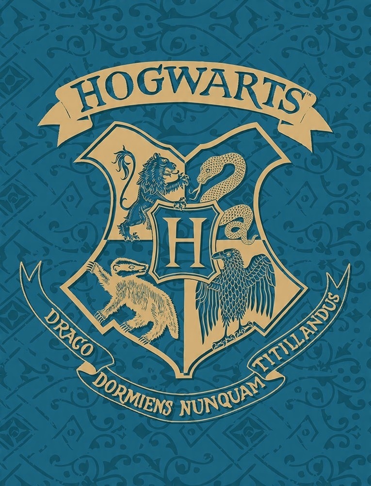 

Koc Z Polaru 130 X 170 CM Harry Potter Hogwarts