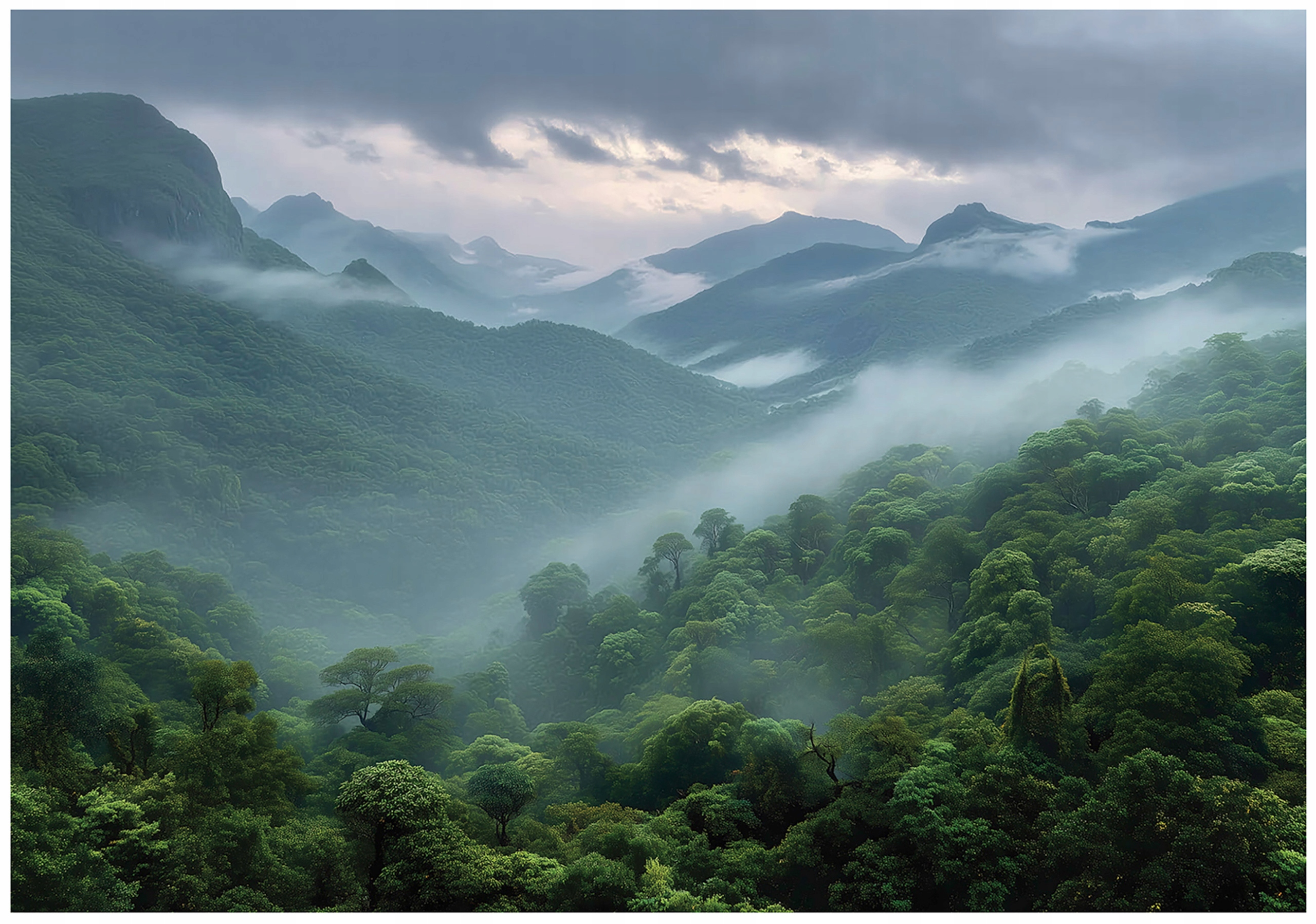 Fototapeta Zelený Les Stromy Tapeta Do Předsíně Obývacího Pokoje Kanceláře 150x105