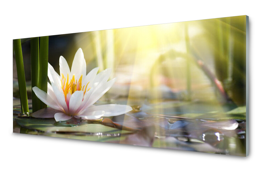 

Panel szklany do kuchni Lilia Wodna 125x50