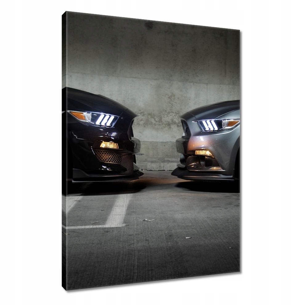 

Obrazy 80x120 Ford Mustang made in Usa