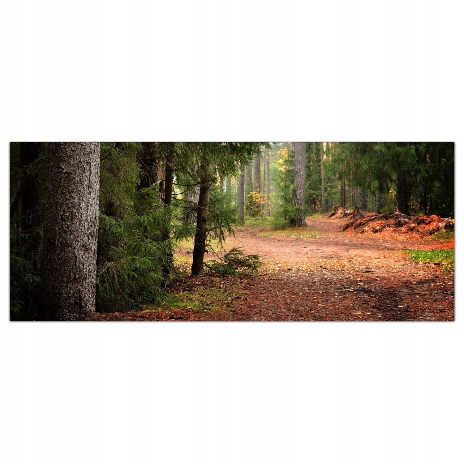 

Obraz na szkle Foto Jesień Las Krajobraz 125x50