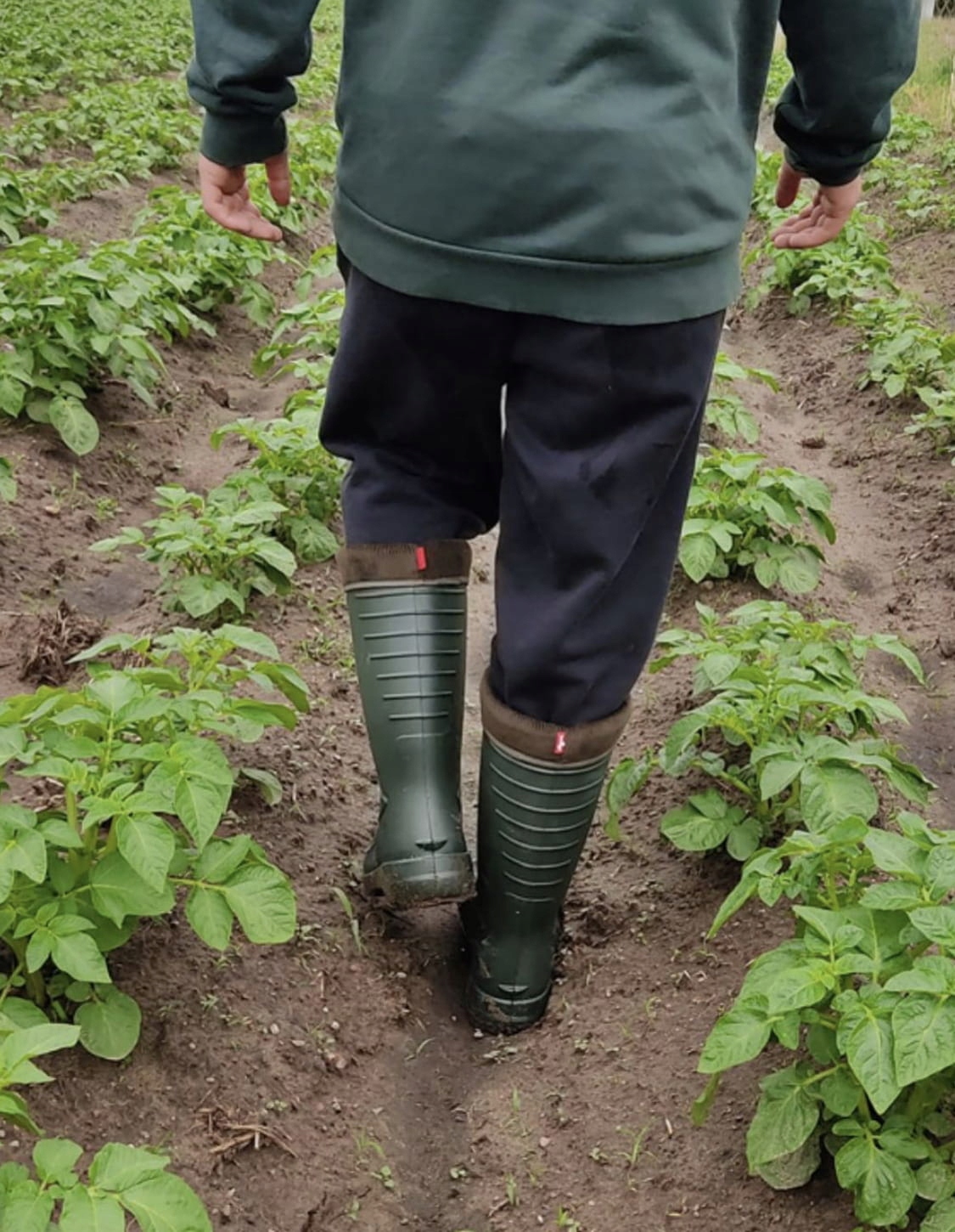 KALOSZE PIANKOWE OCIEPLANE GRENLANDER LEMIGO /40 Marka Lemigo