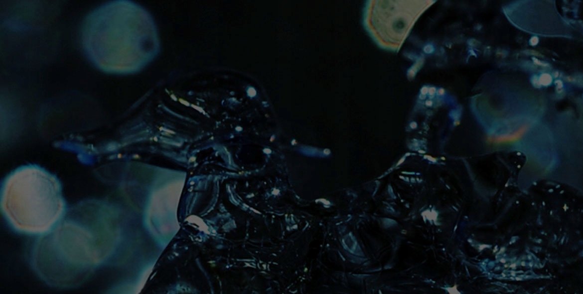 JFenzi Moon Water Men EDP PERFUMY /davi.cool.wat. Marka JFenzi