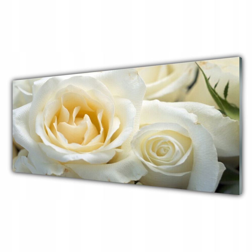

Fotoobraz na ścianę z nadrukiem 125x50 Róże Kwiaty