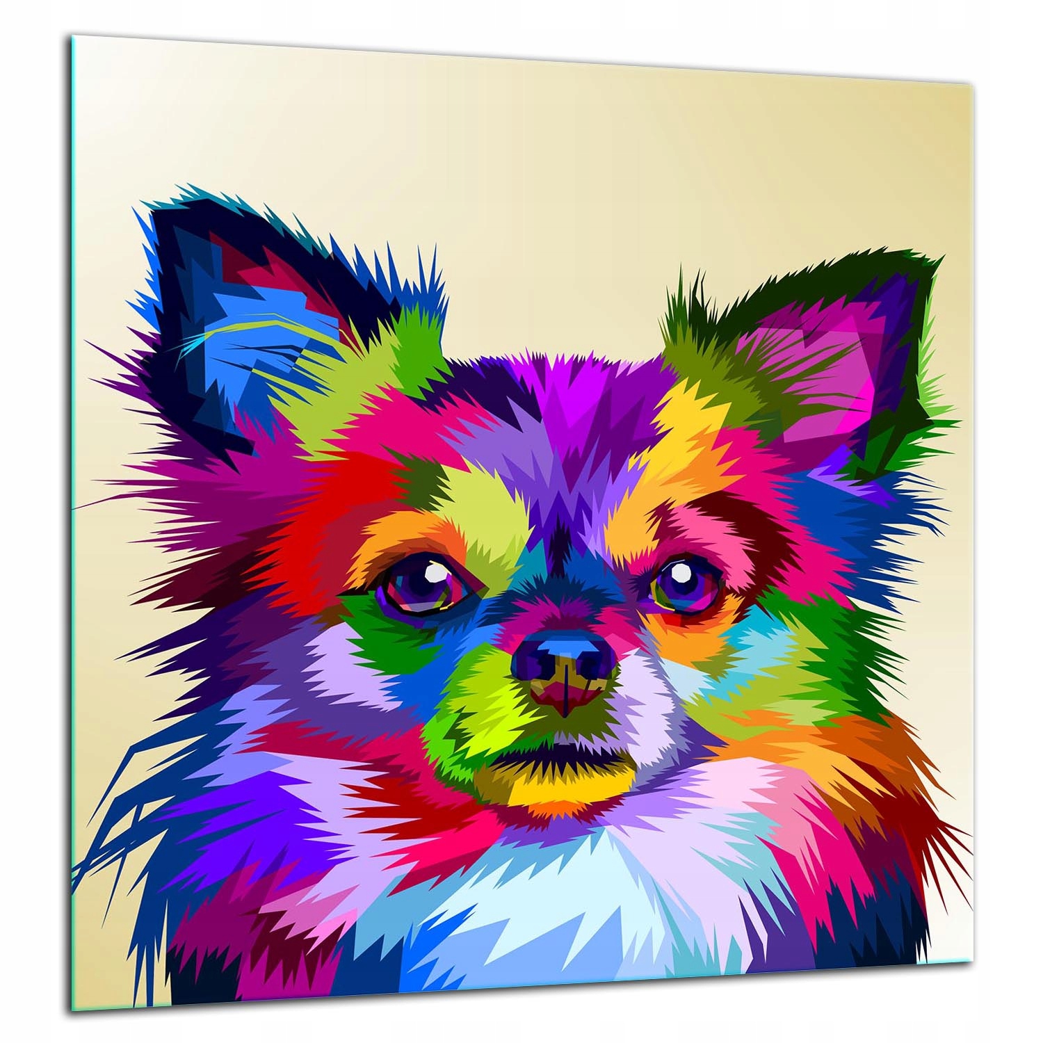 Skleněná Ochranná Deska Panel Lepidlo 60x65 Pes Tvrzené Sklo