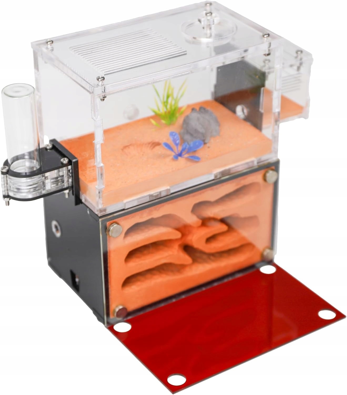 Domek dla Mrówek Dwukondygnacyjne Formikarium Edukacyjne Terrarium