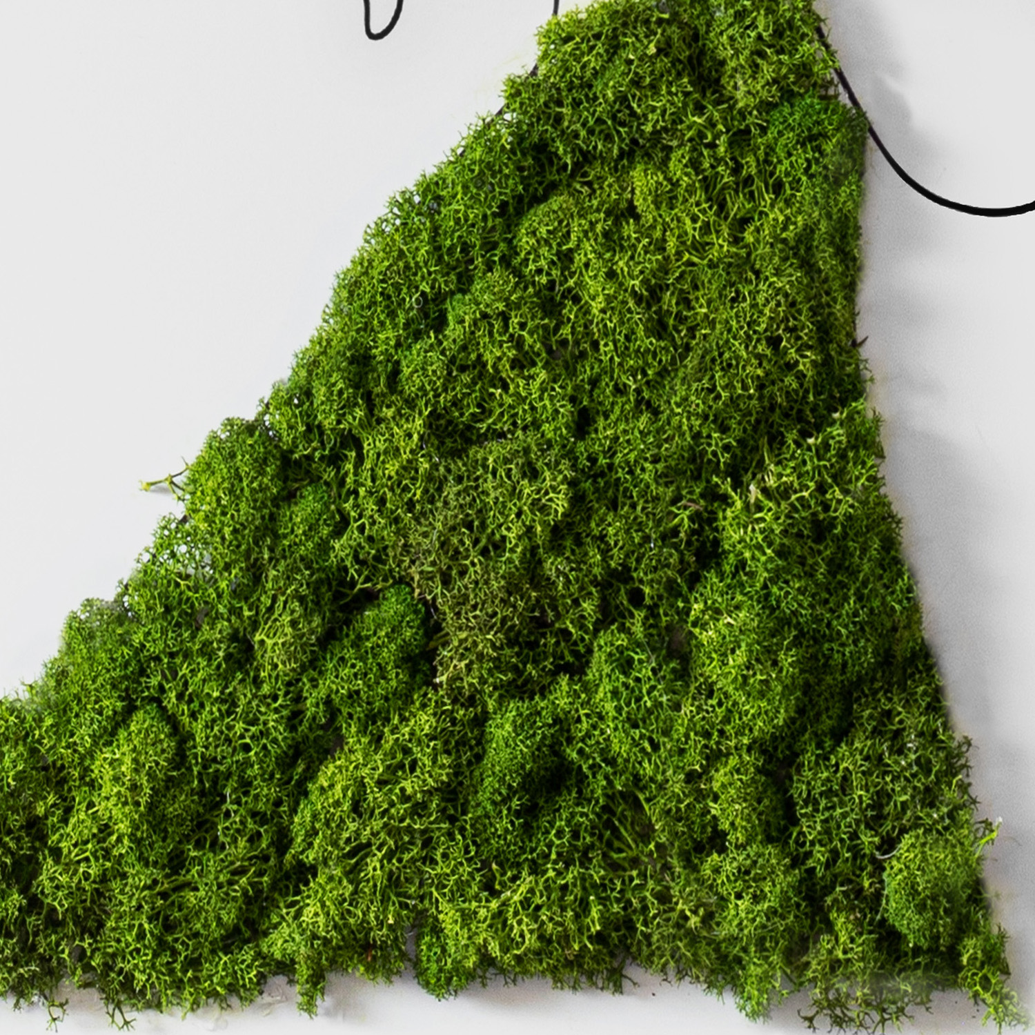 Obraz do sypialni Mech MDF Tańcząca para 60x40 cm Rodzaj mech chrobotek