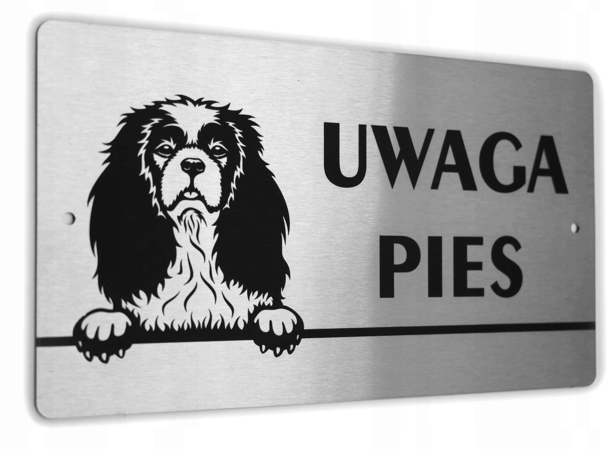 

Tabliczka Uwaga Pies Cavalier King Charles Spaniel