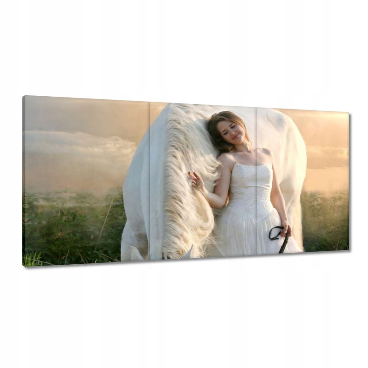 Obrazy 180x90 Kôň Kone Jazdenie