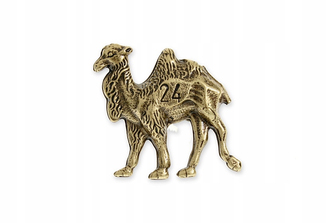 Symbol Aa Pins Z Wielbłądem Kolor Złoty ar2633