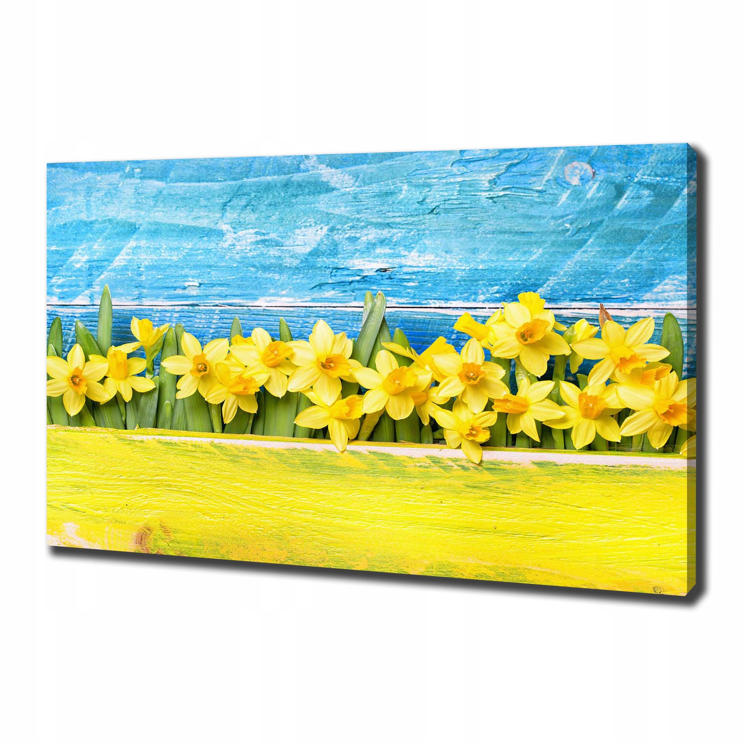 

Foto obraz canvas na ścianę Żonkile 100x70 cm