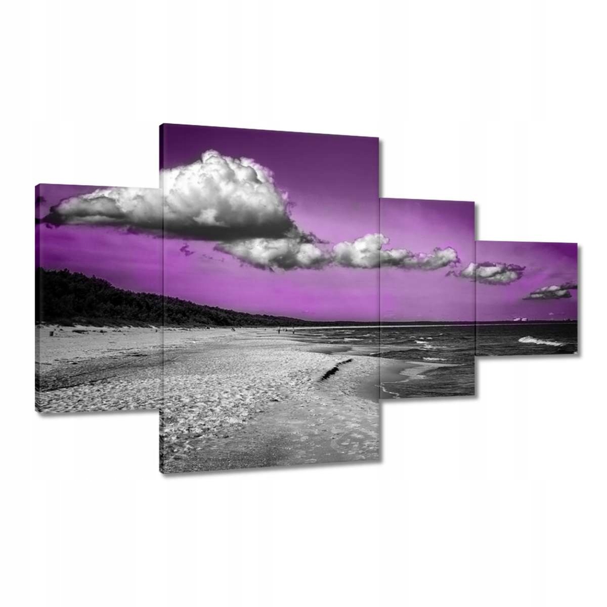 Obrazy 130x80 Polské moře Pláž