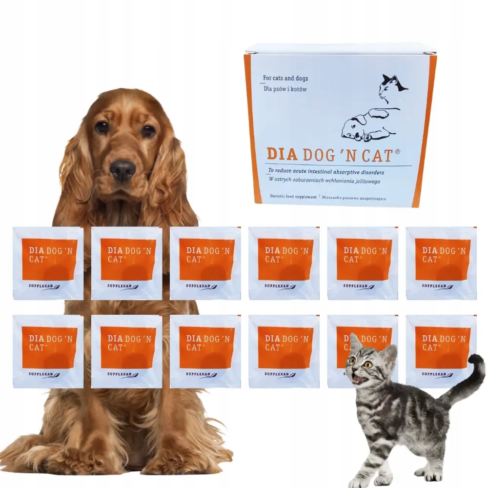 DiaDog 'n Cat Dia Dog na Biegunkę Pies i Kot 12 tab