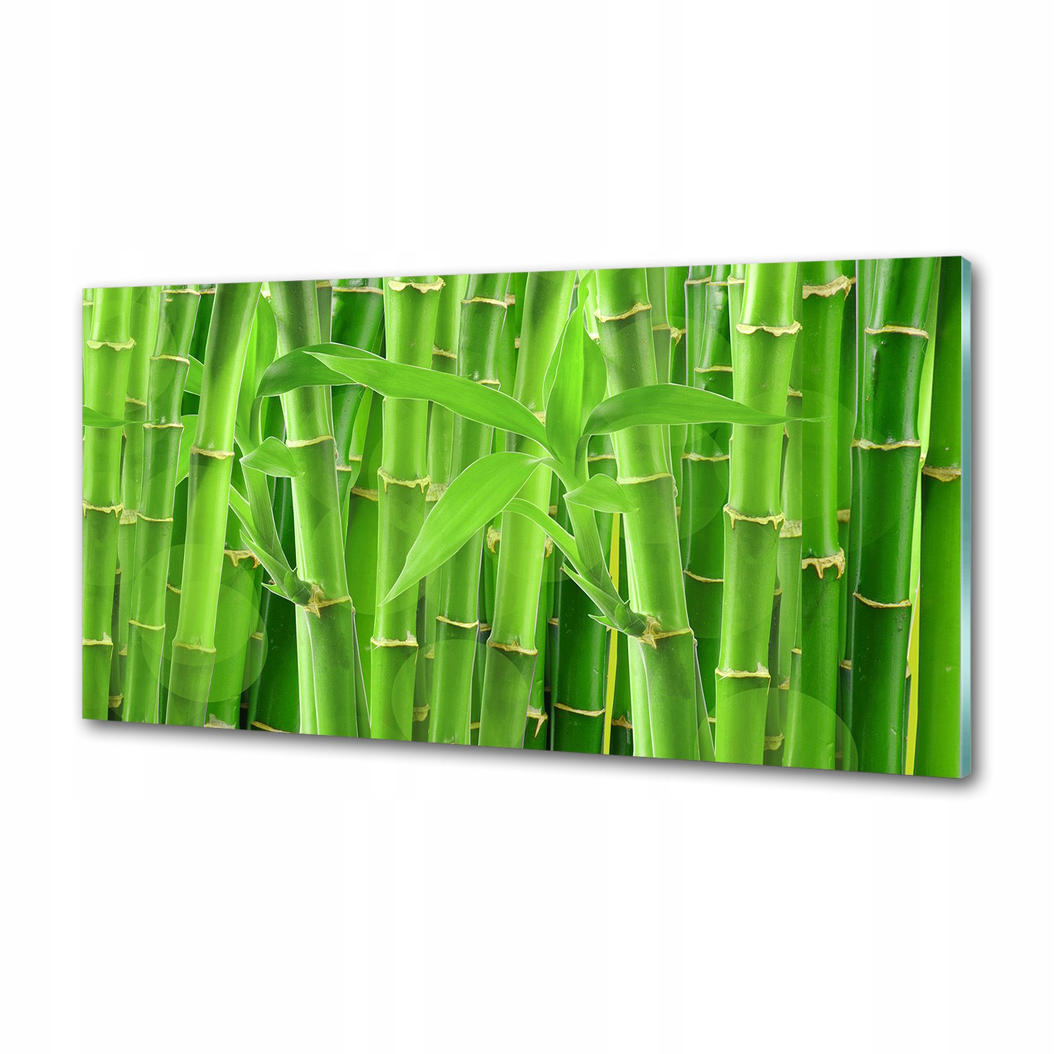 Sklenený panel do kuchyne Bambusy 120 x 60 cm Lepidlo