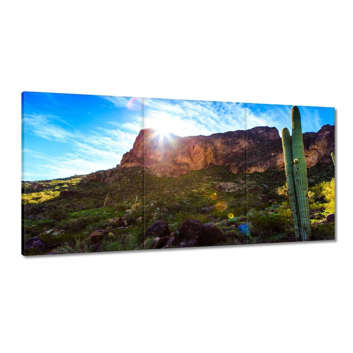 Obrazy 180x90 Krajina s kaktusom