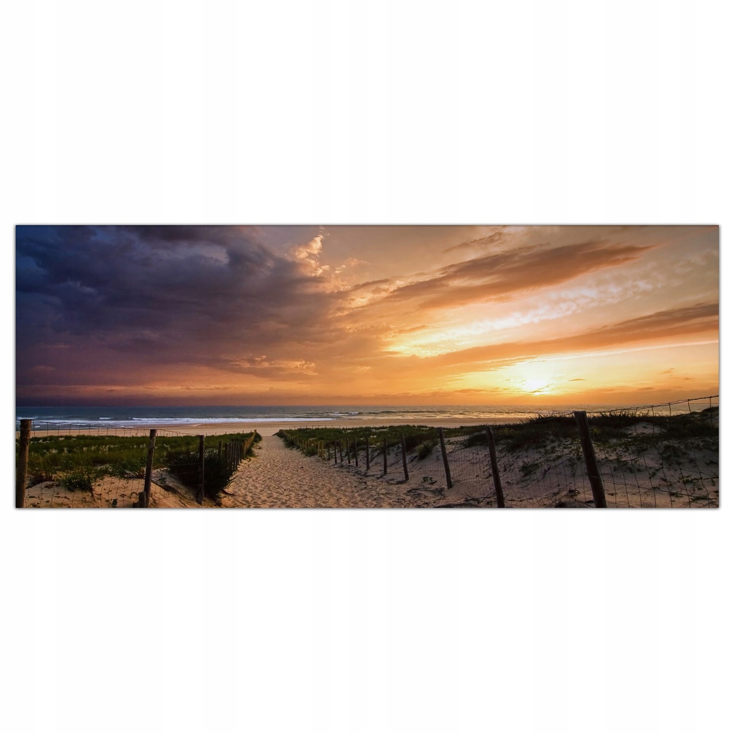 

Obraz na szkle Foto Wydmy Wybrzeże Plaża 125x50