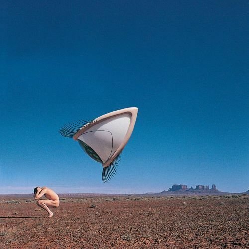 Cranberries Bury The Hatchet (Rsd 2024) (2LP) Winyl