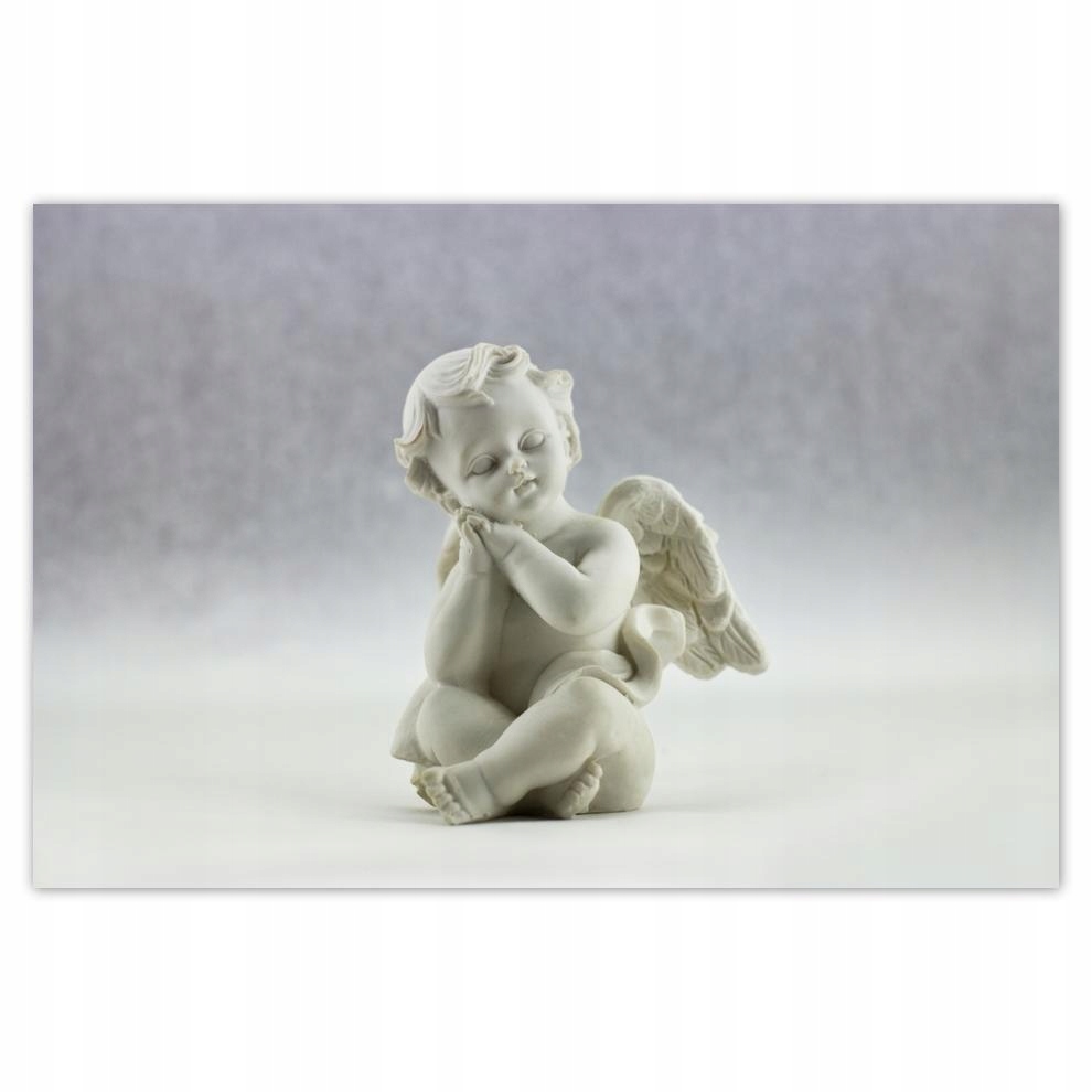 

Plakaty 60x40 Delikatny aniołek