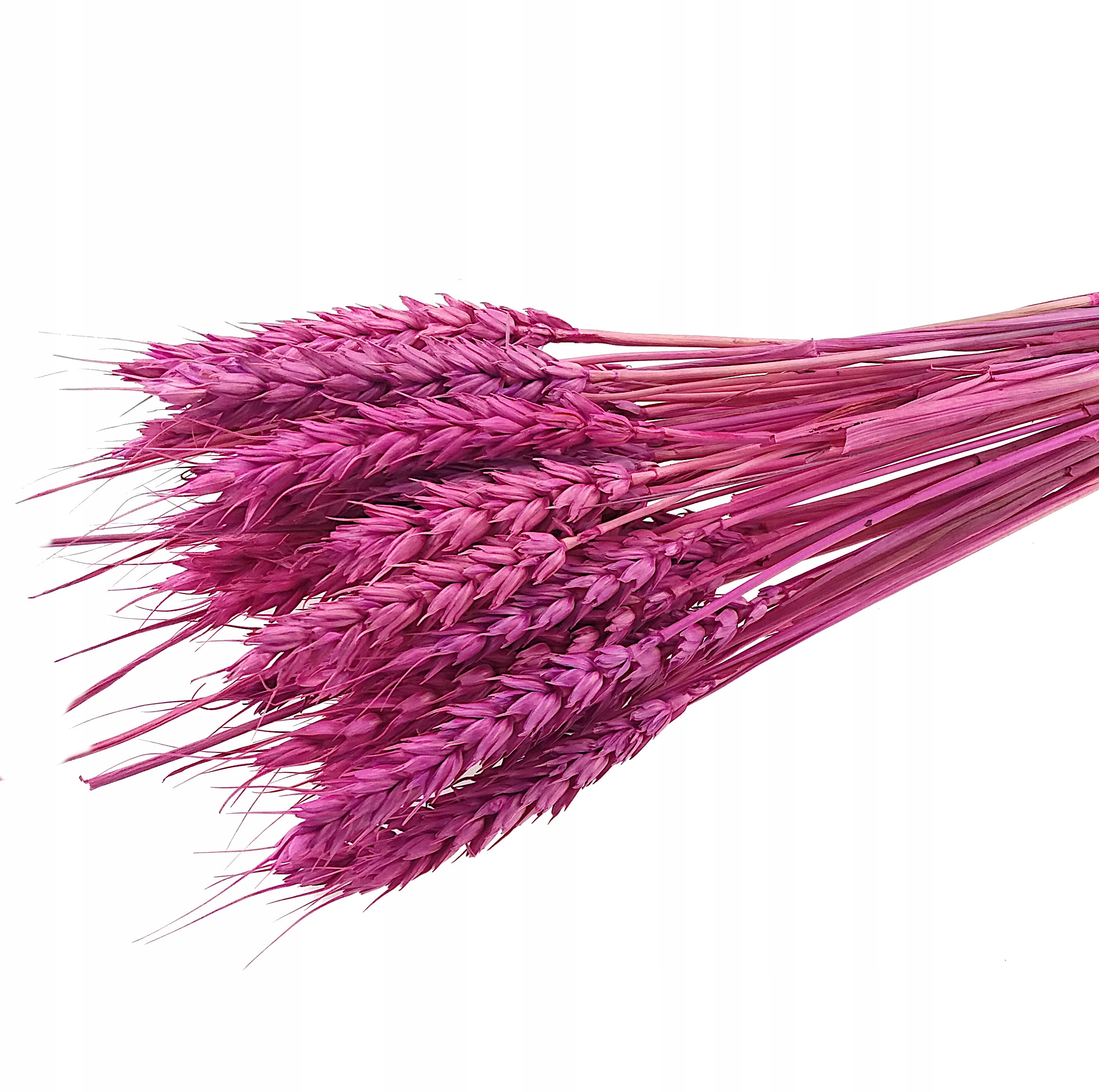 

Pszenica Wrzosowa suszona susz krajowy kłosy zbóż