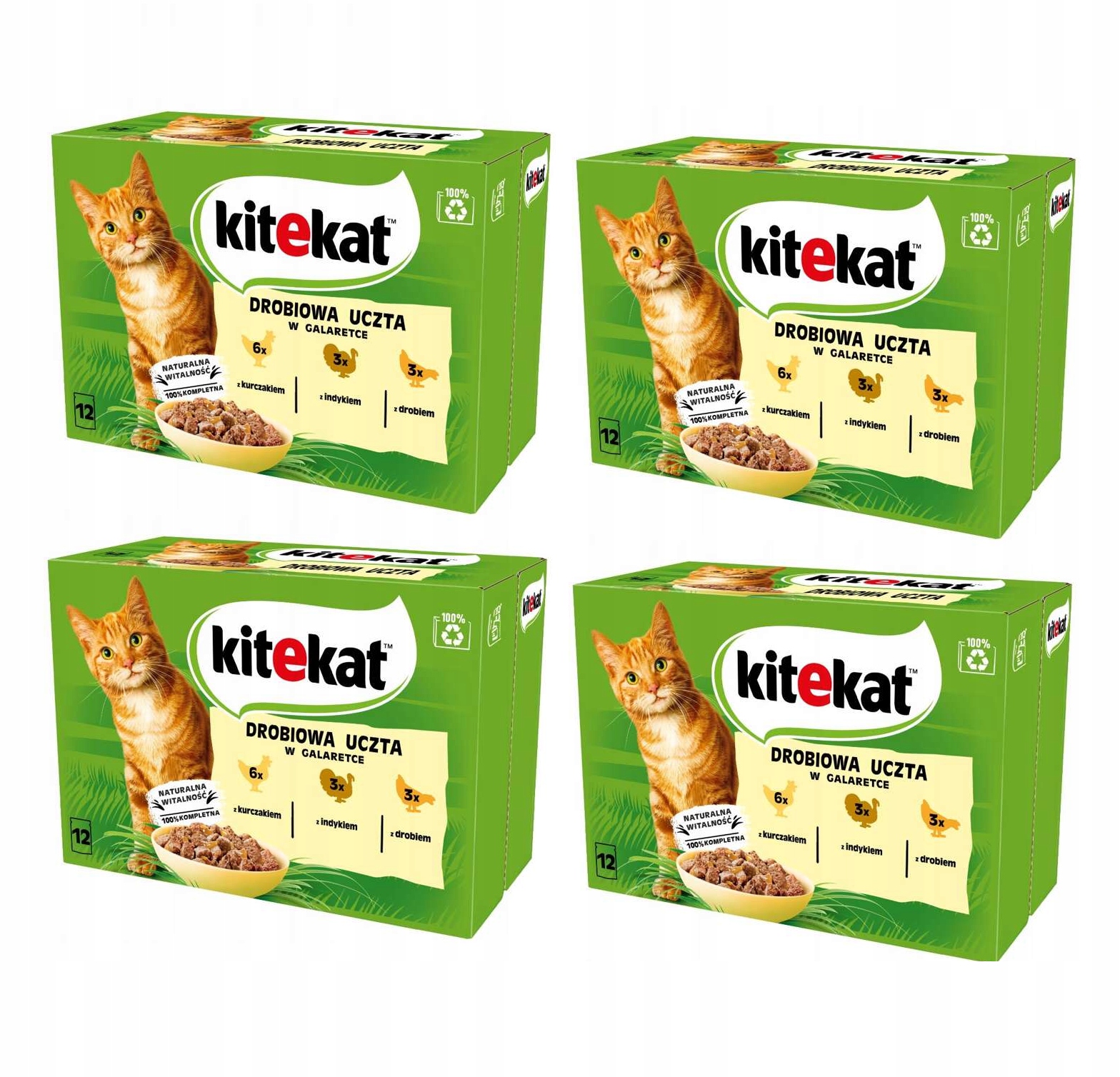 Levně Kitekat mokré krmivo pro kočky mix chutí v želé, sáčky 48 x 85 g