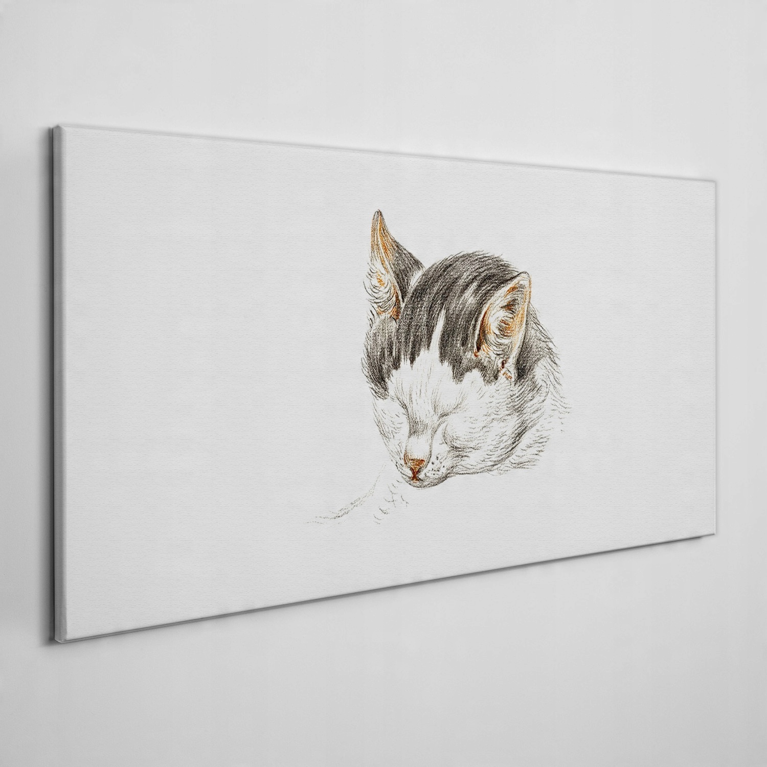 

Obraz na płótnie na ramie Zwierzę kot 120x60 cm