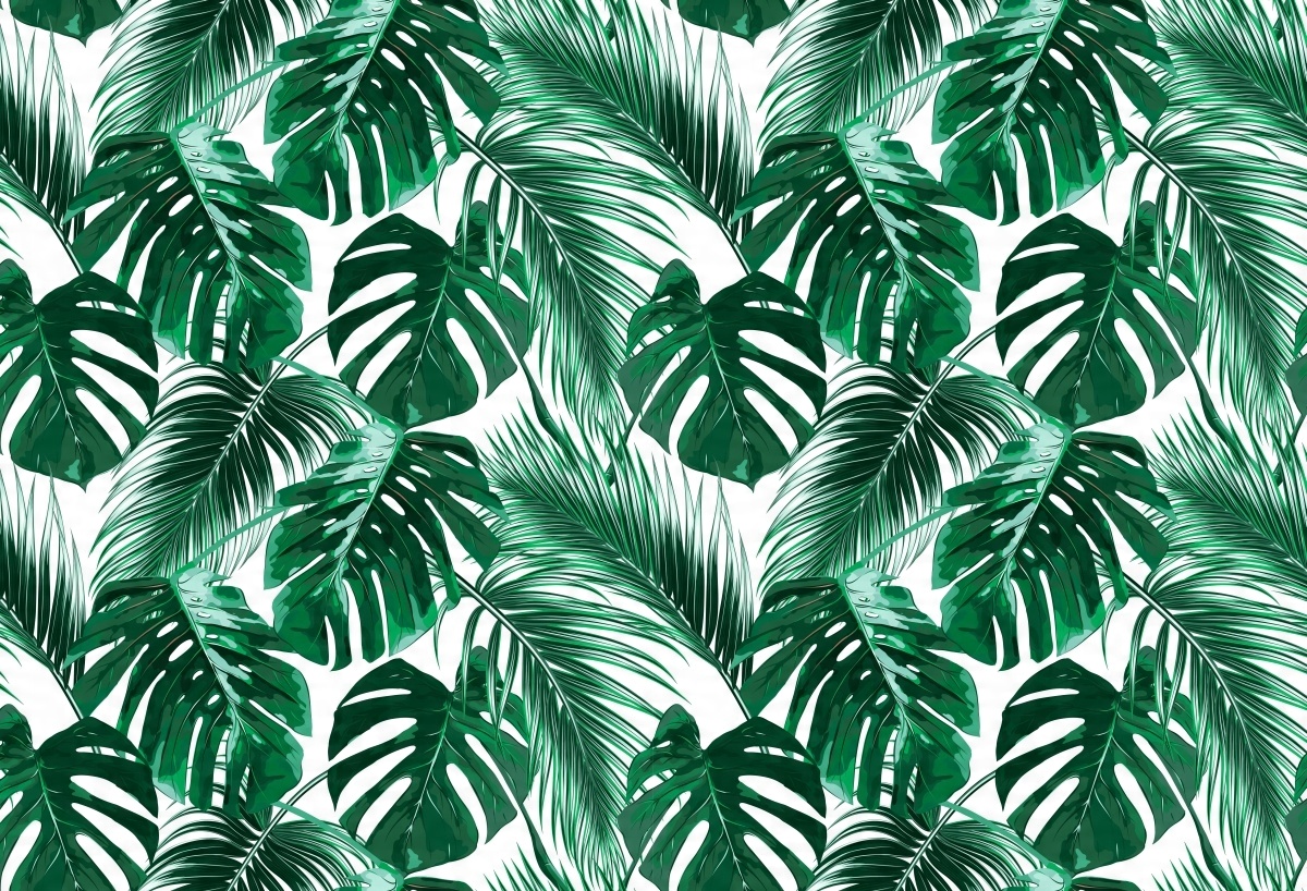 

Tapeta Flizelinowa Monstera dziurawa - 104x70