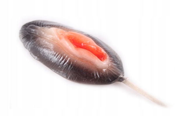 LIZAK CIPKA wagina pochwa prezent dla faceta męża kolegi urodzin kawalerski