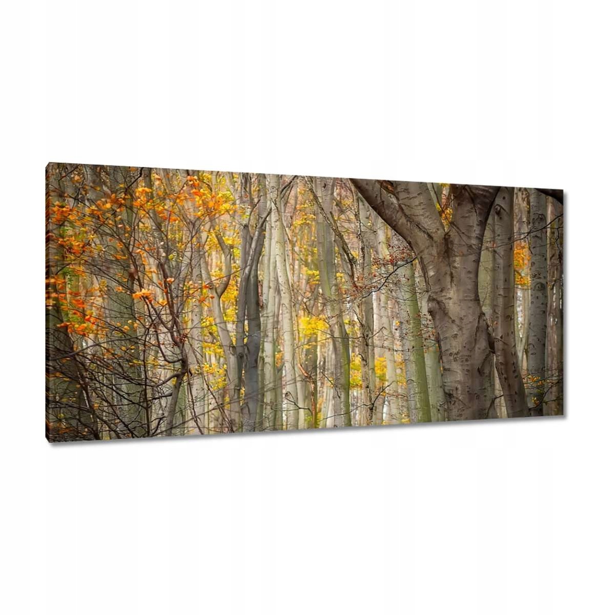 Obrazy 115x55 Krajina Pohled