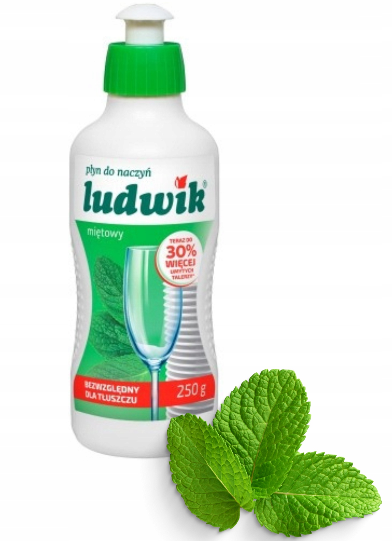 

Ludwik Płyn do Naczyń miętowy 0,25 l