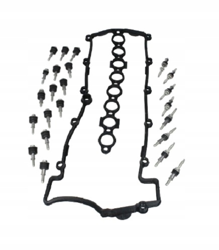 ELRUSZ-005 - Прокладка крышки клапана + болты BMW E46 318 320D