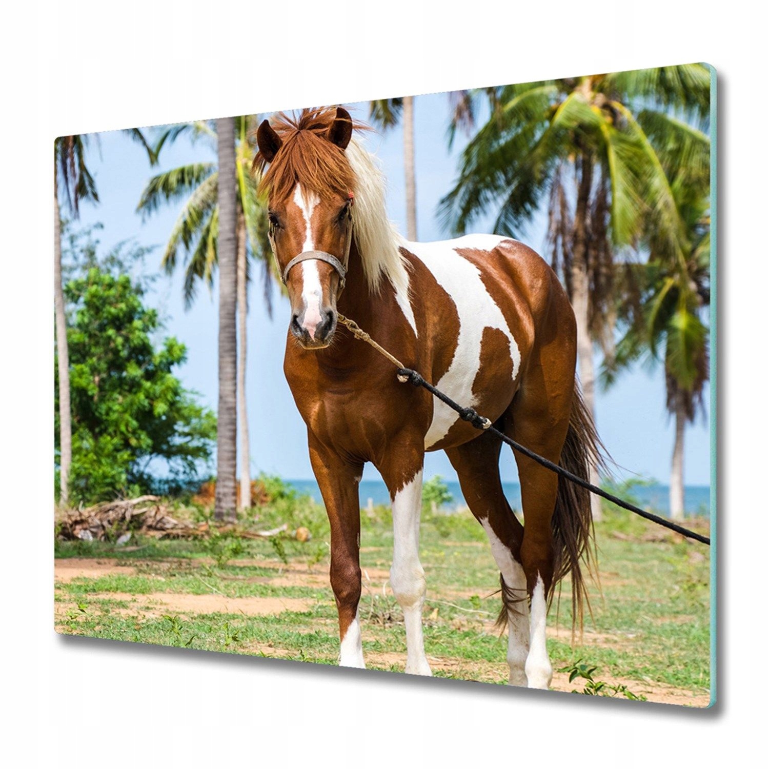 

Hartowana szklana deska do krojenia Koń 60x52