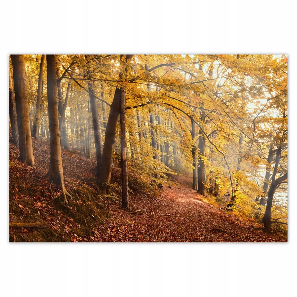 Plakáty 200x135 Krajina Pohled