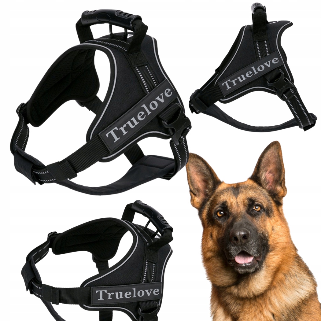 Levně Postroj Pro Psa Pracujícího S Rukojetí Truelove Outdoor Černý XL