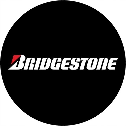 2x Opony Zimowe 265/70R17 Bridgestone Blizzak DM Marka Bridgestone